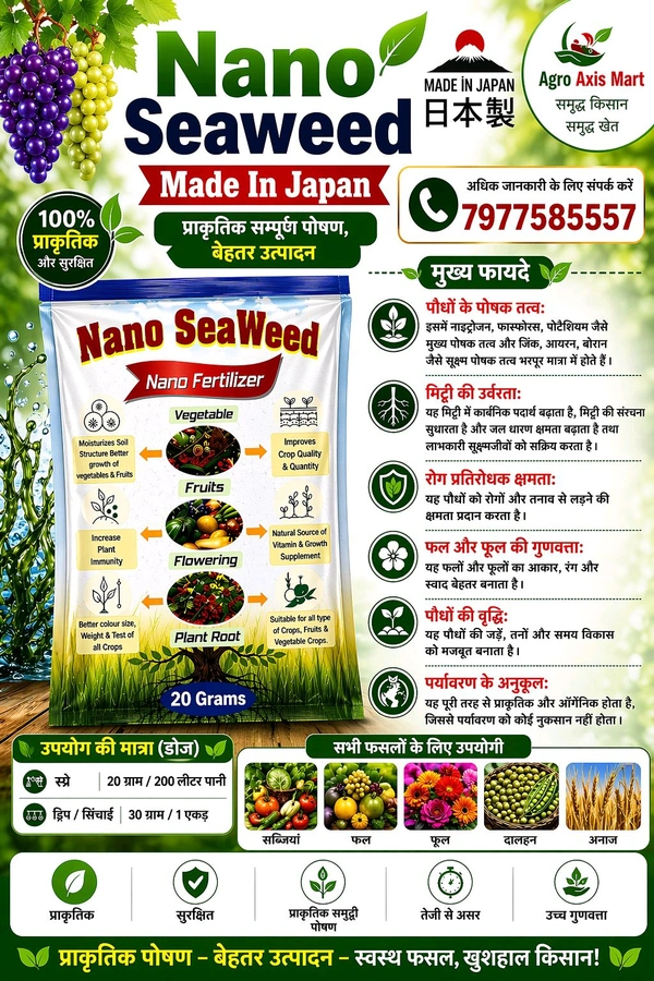 All In One Killer Expert (500Ml) & Nano Seaweed ( 20 Gram) - White, 500 Ml+20gram