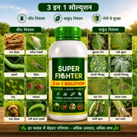 Super Fighter(250ML) - Morocco Brown, 250 ML├Ч2 Pic (500 ML)