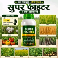 Super Fighter(250ML) - Morocco Brown, 250 ML├Ч2 Pic (500 ML)