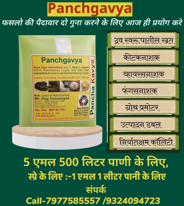 Panchygavya (5Ml) + All In One Killer Expert(500Ml) - White, 5 Ml +500Ml