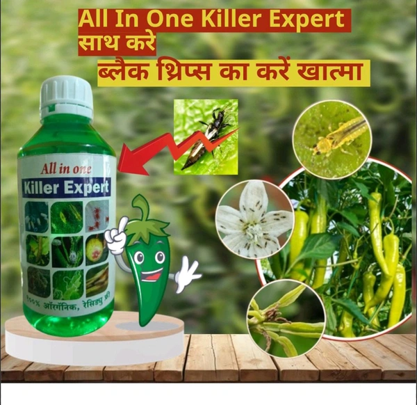 Panchygavya (5Ml) + All In One Killer Expert(500Ml) - White, 5 Ml +500Ml