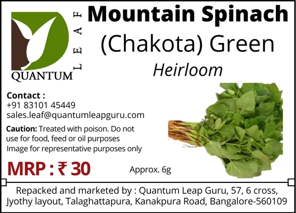 Quantum Leaf Mountain Spinach - Green, Open Pollinated