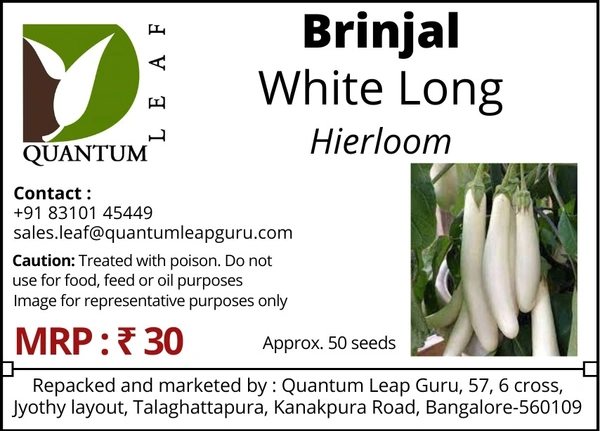 Quantum eaf Brinjal - White Long, Open Polinated
