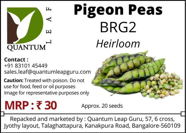 Quantum Leaf Pigeon Peas - Green, BRG2, Open Pollinated