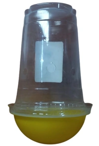 Farmroot Pheromone Trap - Fruit fly