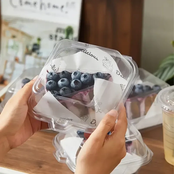 The Baking Curv PVC Bento Lunch Box – Reusable, Leakproof Tiffin for Office, School & Travel - Pack of 10