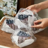 The Baking Curv PVC Bento Lunch Box – Reusable, Leakproof Tiffin for Office, School & Travel - Pack of 10