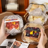 The Baking Curv PVC Bento Lunch Box – Reusable, Leakproof Tiffin for Office, School & Travel - Pack of 10