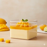 THE BAKING CURV ACRYLIC SQUARE TUB N45 | MOOUSE | PUDDING | Parfait
