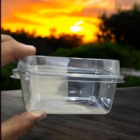 The Baking Curv Rectangle Tiramisu Plastic Container| Sturdy | Sleek  - Pack of 5