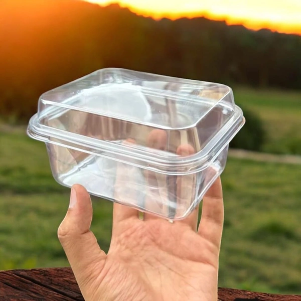 The Baking Curv Rectangle Tiramisu Plastic Container| Sturdy | Sleek  - Pack of 5