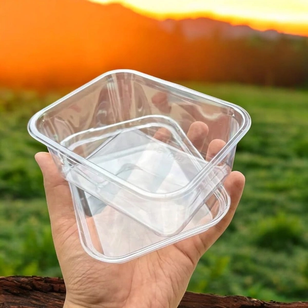 The Baking Curv Rectangle Tiramisu Plastic Container| Sturdy | Sleek  - Pack of 5