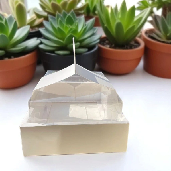 The Baking Curv 6 Cavity Cup Cake Box - White, Pack Of 25