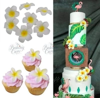 The Baking Curv Silicone Mold Plumeria Rubra Mold 6 Cavity Soap Mold Egg Flowers Silicone Molds for Cake Soap Chocolate Candy Cupcake Candle