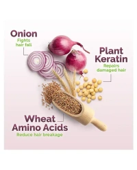 Mama Earth Mamaearth Onion Shampoo with Plant Keratin - 200 ml - 200 ml