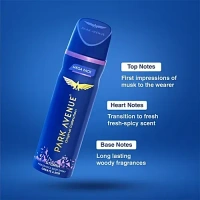 Park Avenue Perfume Body Spray - Storm, 220 ml (Mega Pack)