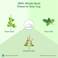 A TATA Product - Organic India Rama, Krishna & Vana Tulsi Blended Green Tea Classic - 25 Tea Bags