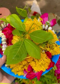 Puja Phool Mix Flower (Khula Phool) 50GM - 100GM