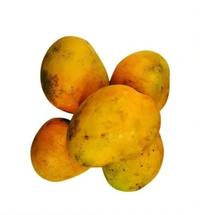 Himsagar Mango (Khirsapati) 500gm - Aam