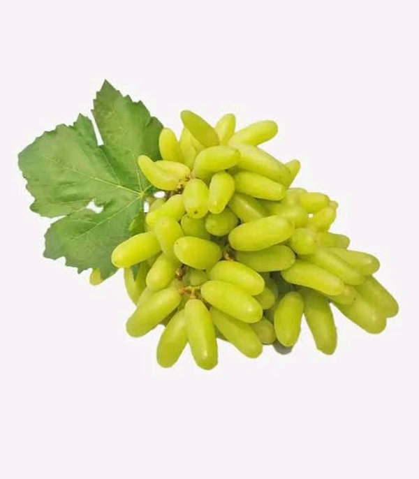Grapes| ద్రాక్ష పండ్లు 