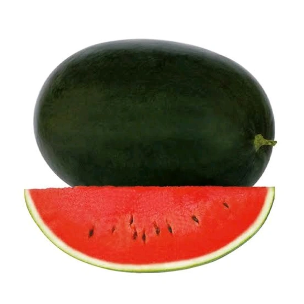 Watermelon | పుచ్చకాయ