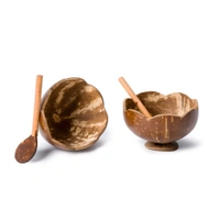 Floral Coconut Shell Bowl with Spoon | Handmade | 100% ecofriendly & Sustainable | 200-250 ml | Set of 2