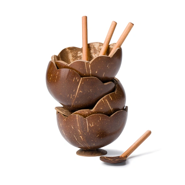 Natural Coconut Bowl Set with Spoons, 4 Pieces, Handcrafted Serving Bowls with Stand
