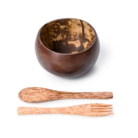 Coconut Shell Bowls | 100% Eco-Friendly & Sustainable | Dessert Serveware (Big Bowl with Spoon & Fork)