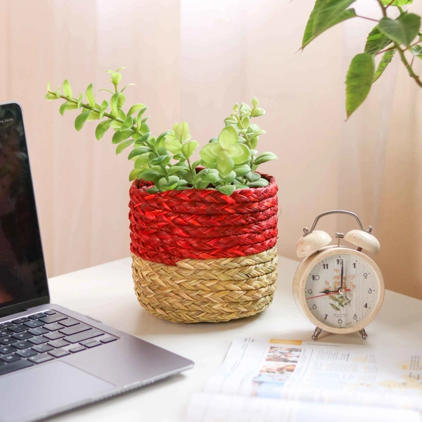 Eco-Friendly Handmade Sabai Grass Planter and Organizer - 12.7 cm, 12.7 cm, 12.7 cm