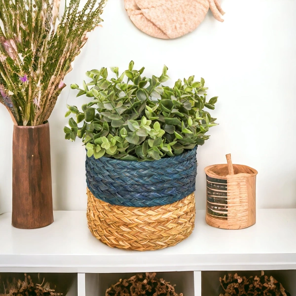 Versatile Sabai Grass Planter - Natural & Sustainable - 12.7 cm, 12.7 cm, 12.7 cm