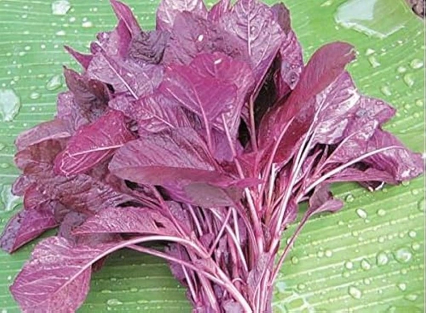 Datha Saag . pack Of (5)Natural ,village Vegitables