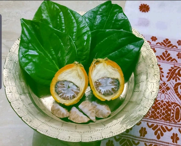 TAMUL With  Paan . 3 Pack 12 Pisces 