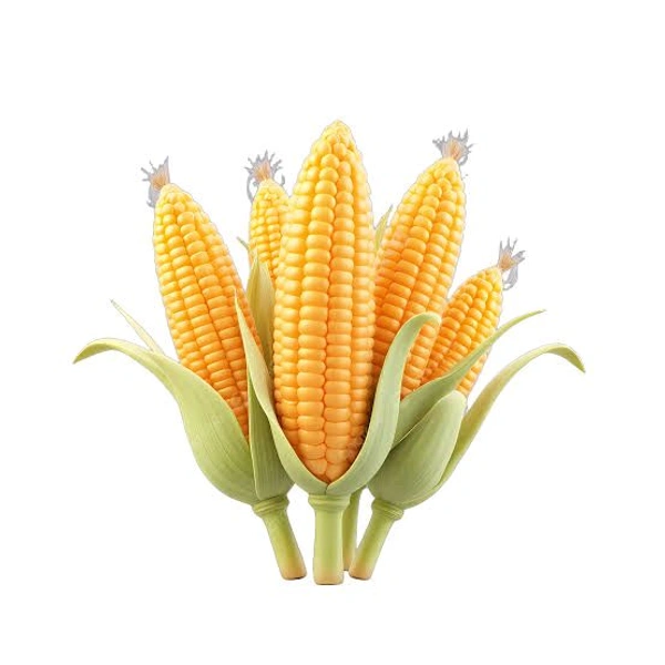 Babycorn