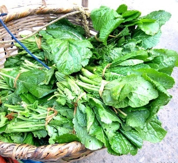 (SUNIL JUICE) SAAG    (ON SEASON)