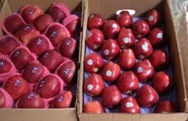 (SUNIL JUICE) APPLE     ( IMPORTATED)