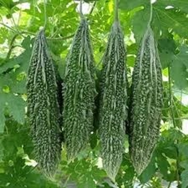 (SUNIL JUICE) KERALA - KG