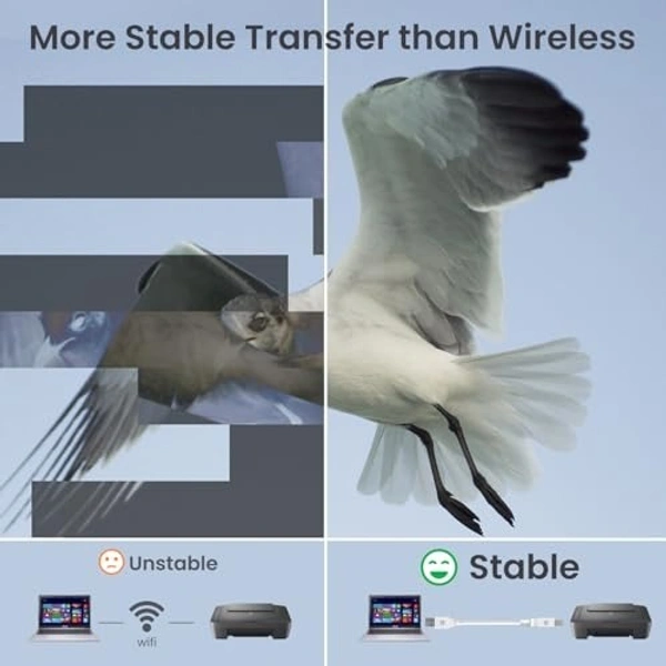 Usb printer white Cable - 5mtr