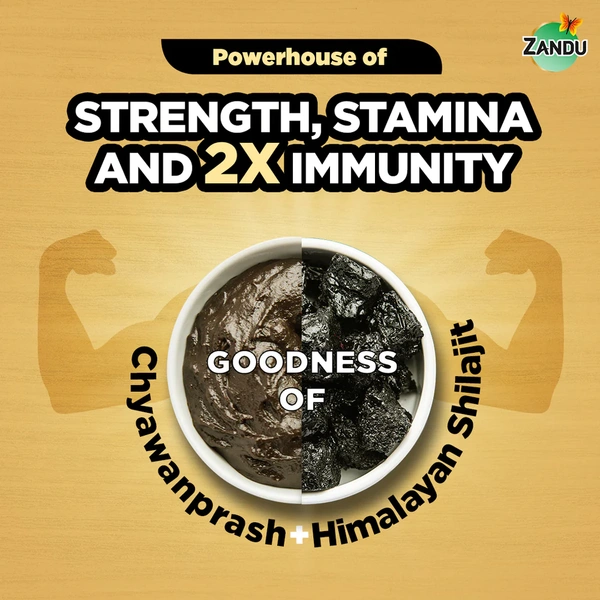 Zandu Shilajitprash - 450 gm