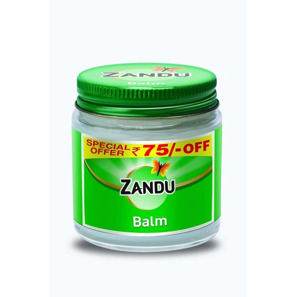 Zandu Balm | Effective relief from Headache, Body Pain, Sprain and Cold | No. 1 Ayurvedic Balm for Quick Pain Relief - 100ml