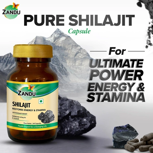 Zandu Shilajit Capsules (60 Caps) Infused with Goodness of Natural Shilajit Extracts for Enhanced Energy & Strength in Men, Manages Stress, Immunity Booster - 60 Caps