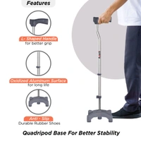 VISSCO Avanti L Shape Quadripod Stick | Walking Stick with Adjustable Height | Light Weight | 4 Legged Base (Grey)