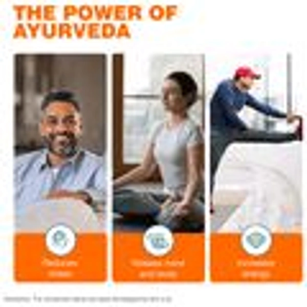 Himalaya Wellness Ashvagandha Tablet | Stress Relief Supplement | Rejuvenates Mind & Body - 120 Tablets