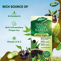 Dabur Jamun Neem Karela Juice| Control Blood Sugar & Bad Cholesterol | Diabetic Care - 1 Ltr