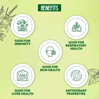 Dabur Giloy Neem Tulsi Juice for Immunity, Respiratory, Skin & Liver Health - 1Ltr.