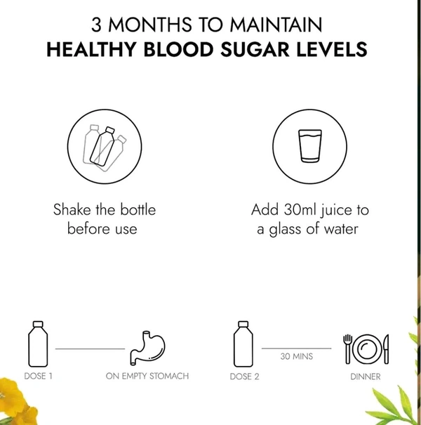 Kapiva Diafree Juice for Diabetes Care | Helps Maintain Healthy Blood Sugar Levels - 2 Ltr.