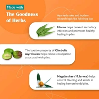 Himalaya Wellness | Pilex Tablet | Piles Treatment | Trusted Piles Treatment|60 Tablets - 60 Tablet