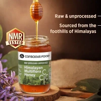 Conscious Food Himalayan Multi Flora Honey (500G)