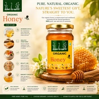 Down To Earth Organic Honey 500 g