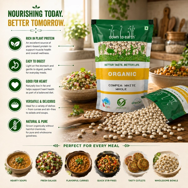 Down To Earth Organic Cowpea White Whole 500 g