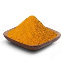 Conscious Food Turmeric Powder / Haldi (100G)